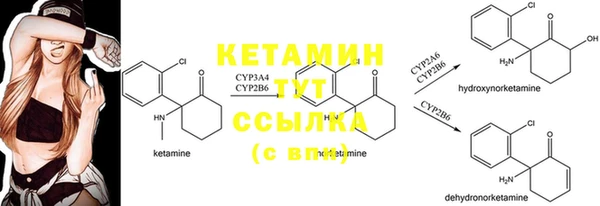 круглые Абаза