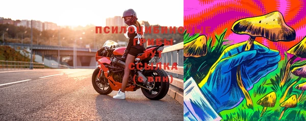 хмурый Алексин