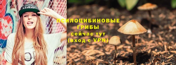 mdpv Надым