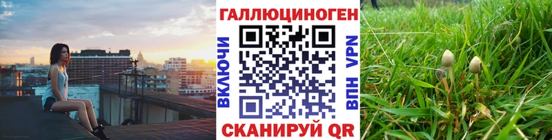Галлюциногенные грибы GOLDEN TEACHER  kraken tor  Чита 